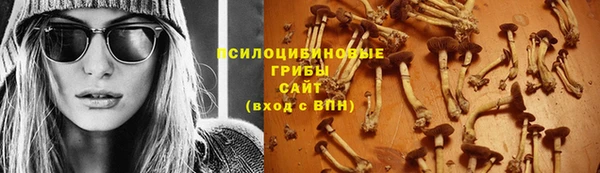mix Пересвет